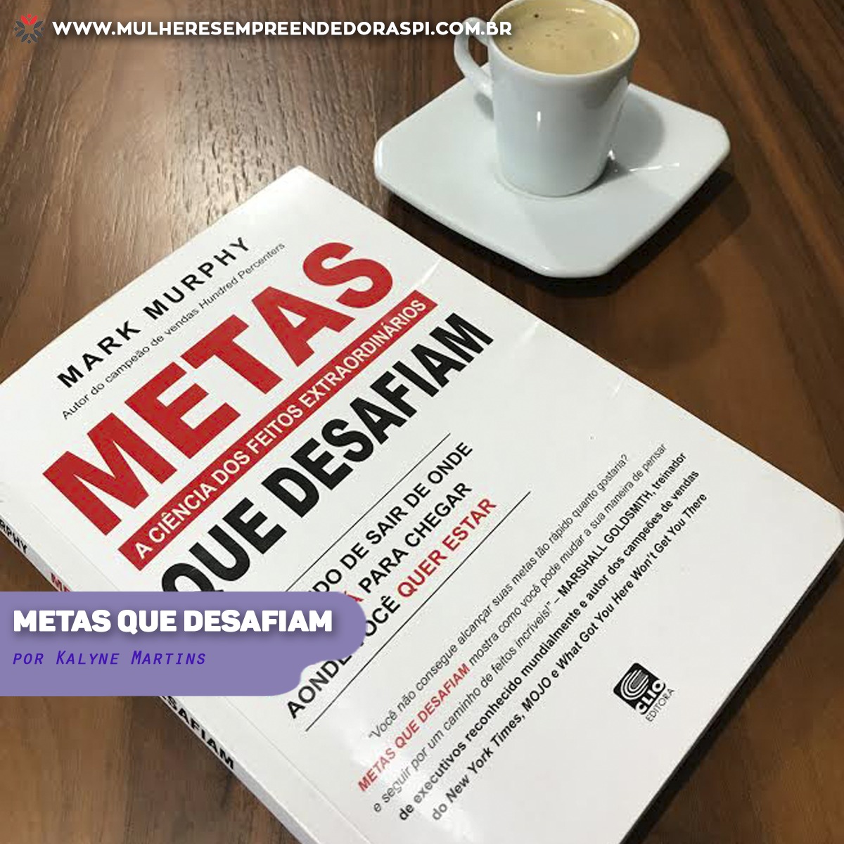 You are currently viewing Metas que desafiam – por Kalyne Martins